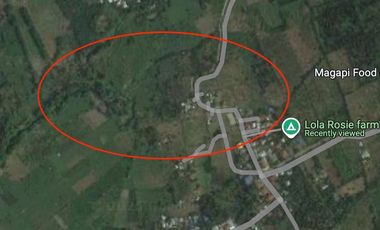 For Sale: Residential Lot at Magapi, Balete Malvar, Batangas