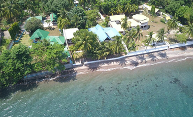 Modern 3 bedroom beach front house in Dauin (Available from April 2026!)