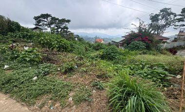 Overlooking Lot for Sale in Celestial Village