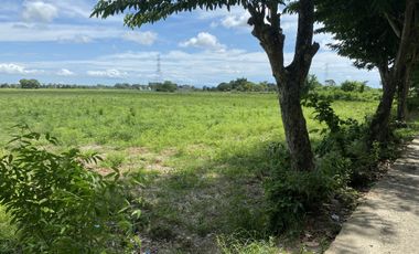 1 Hectare Lot For Sale in Mulawin Matanda, Tarcan, Baliuag, Bulacan
