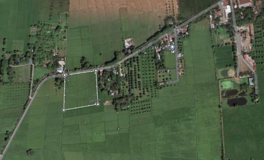 1 Hectare Lot For Sale in Mulawin Matanda, Tarcan, Baliuag, Bulacan