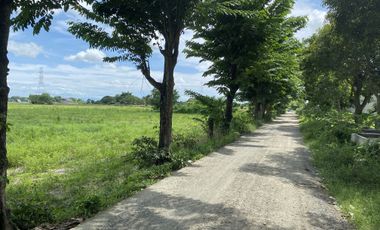 1 Hectare Lot For Sale in Mulawin Matanda, Tarcan, Baliuag, Bulacan