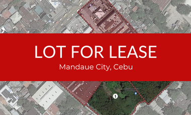 7,150 sq.m. Lot for Rent in Mandaue City, Cebu