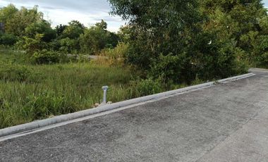 50sqm clean title lot in Bilisan Panglao 7500 per sqm infront cristal e college