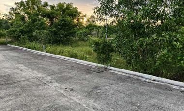 50sqm clean title lot in Bilisan Panglao 7500 per sqm infront cristal e college