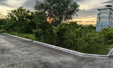 50sqm clean title lot in Bilisan Panglao 7500 per sqm infront cristal e college