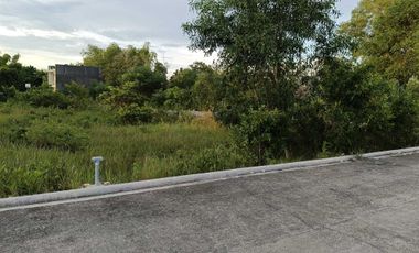 50sqm clean title lot in Bilisan Panglao 7500 per sqm infront cristal e college