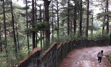 3 Hectares Mountain Resort Lot For Sale in Bakakeng Central, Baguio City