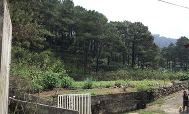 3 Hectares Mountain Resort Lot For Sale in Bakakeng Central, Baguio City