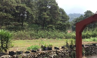 3 Hectares Mountain Resort Lot For Sale in Bakakeng Central, Baguio City