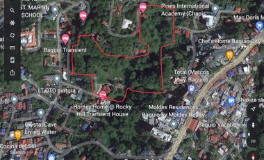 3 Hectares Mountain Resort Lot For Sale in Bakakeng Central, Baguio City
