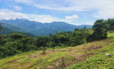 Affordable LOT FOR SALE Baguio Golden Hills in TADIANGAN, TUBA, BENGUET-MAA