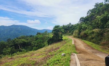 Affordable LOT FOR SALE Baguio Golden Hills in TADIANGAN, TUBA, BENGUET-MAA