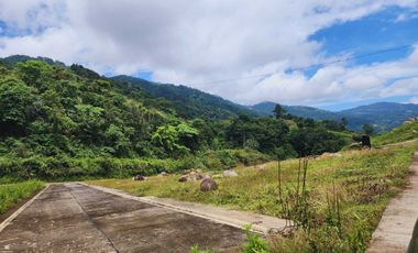 Affordable LOT FOR SALE Baguio Golden Hills in TADIANGAN, TUBA, BENGUET-MAA