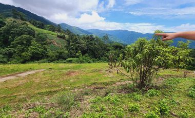 Affordable LOT FOR SALE Baguio Golden Hills in TADIANGAN, TUBA, BENGUET-MAA