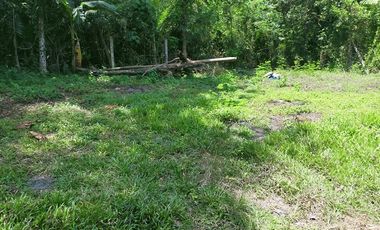 199sqm clean title lot for sale in Dao Tagbilaran City  6k per sqm