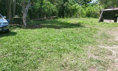 199sqm clean title lot for sale in Dao Tagbilaran City  6k per sqm