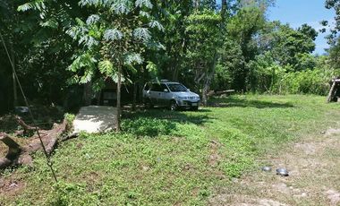 199sqm clean title lot for sale in Dao Tagbilaran City  6k per sqm