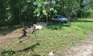 199sqm clean title lot for sale in Dao Tagbilaran City  6k per sqm