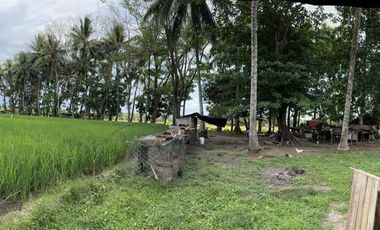 Farmland with Beachfront at Mandangoa, Balingasag, Misamis Oriental