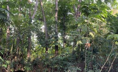 Farmland with Beachfront at Mandangoa, Balingasag, Misamis Oriental