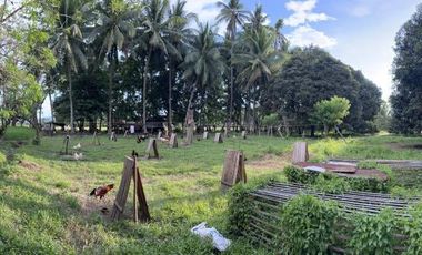 Farmland with Beachfront at Mandangoa, Balingasag, Misamis Oriental