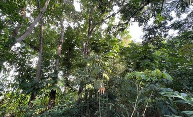 Farmland with Beachfront at Mandangoa, Balingasag, Misamis Oriental