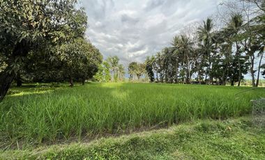 Farmland with Beachfront at Mandangoa, Balingasag, Misamis Oriental