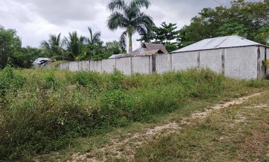 765sqm title lot for sale walking distance to Alona beach Tawala Panglao Bohol