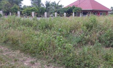 765sqm title lot for sale walking distance to Alona beach Tawala Panglao Bohol