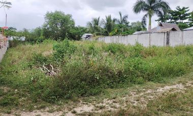 765sqm title lot for sale walking distance to Alona beach Tawala Panglao Bohol