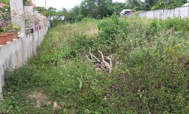 765sqm title lot for sale walking distance to Alona beach Tawala Panglao Bohol