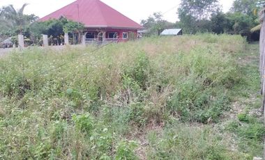 765sqm title lot for sale walking distance to Alona beach Tawala Panglao Bohol