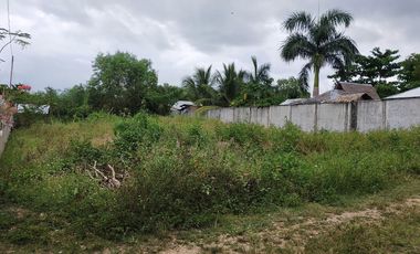 765sqm title lot for sale walking distance to Alona beach Tawala Panglao Bohol