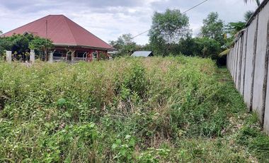 765sqm title lot for sale walking distance to Alona beach Tawala Panglao Bohol