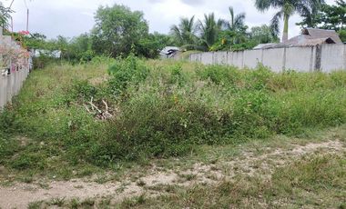 765sqm title lot for sale walking distance to Alona beach Tawala Panglao Bohol