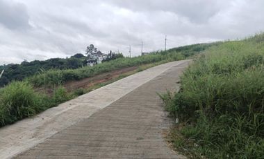 PELICAN CLIFF LOT FOR SALE OVERLOOKING IN EASTRIDGE SUBDIVISION BINANGONAN RIZAL