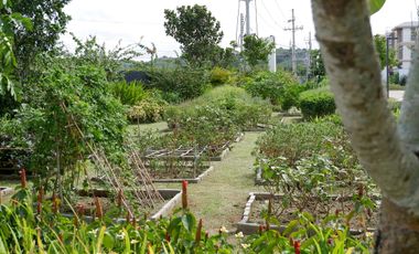 FOR SALE: Sevina Park Villas 2 Bedroom Townhouse - Laguna (DLSU, Broadfield)