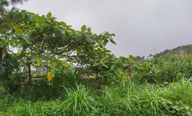 355 sqm Prime Residential Lot WITH OVERLOOKING INSIDE SUBD. VIEW (Pinewoods)