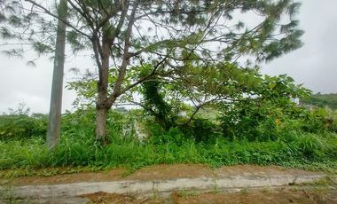 355 sqm Prime Residential Lot WITH OVERLOOKING INSIDE SUBD. VIEW (Pinewoods)