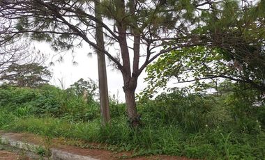 355 sqm Prime Residential Lot WITH OVERLOOKING INSIDE SUBD. VIEW (Pinewoods)