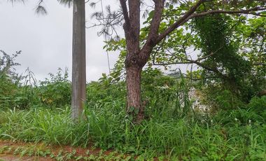 355 sqm Prime Residential Lot WITH OVERLOOKING INSIDE SUBD. VIEW (Pinewoods)