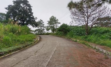 355 sqm Prime Residential Lot WITH OVERLOOKING INSIDE SUBD. VIEW (Pinewoods)