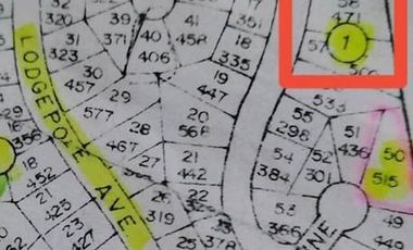 471 sqm Prime Inner Residential Lot WITH ALMOST FLAT TERRAIN (Pinewoods Baguio)