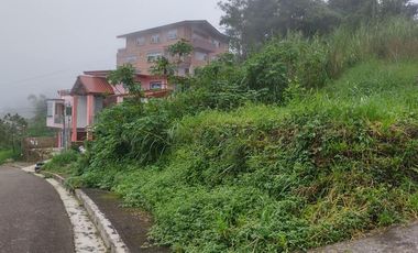 471 sqm Prime Inner Residential Lot WITH ALMOST FLAT TERRAIN (Pinewoods Baguio)