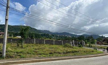 305 sqm Corner Prime Residential Lot WITH FLAT TERRAIN (Pinewoods - Baguio City)