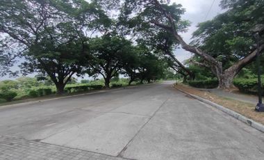 448sqm Residential Corner Lot for sale in Las Haciendas De Luisita, Tarlac