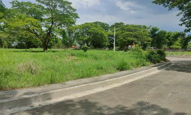 448sqm Residential Corner Lot for sale in Las Haciendas De Luisita, Tarlac