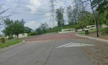 448sqm Residential Corner Lot for sale in Las Haciendas De Luisita, Tarlac