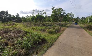 Titled 3,972 sqm - Panglao Island, Bohol